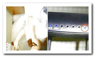 Hidden Camera Wall Socket